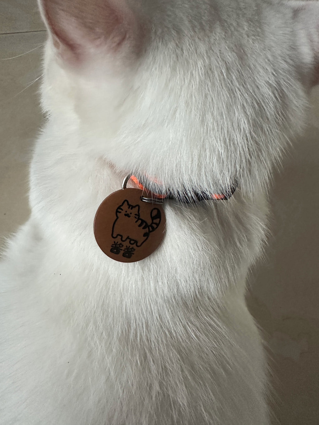 Wooden Pet Name Tag