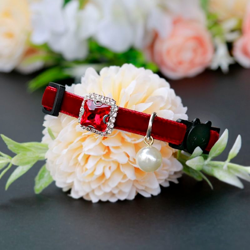 Red cat collar with a decorative buckle and pearl charm on a white flower